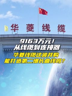 9163万元!从线缆到连接器,华菱线缆这波并购,能打造第二增长曲线吗?