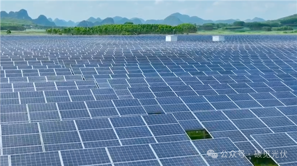 阳光电源年报"变脸"：Q4净利腰斩54%，高增长神话难掩增长失速