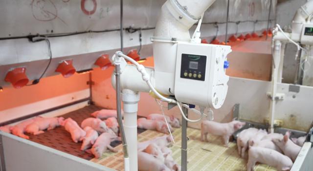 牧原股份出栏7798万创新高,然规模壁垒难掩"增产不增利"魔咒