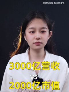3000亿营收VS 2000亿市值