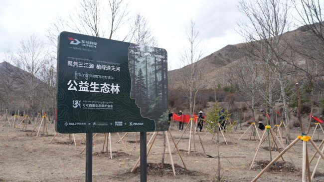 江源植绿 东箭守护 东箭科技“通天河东箭林”公益植树行动正式启动