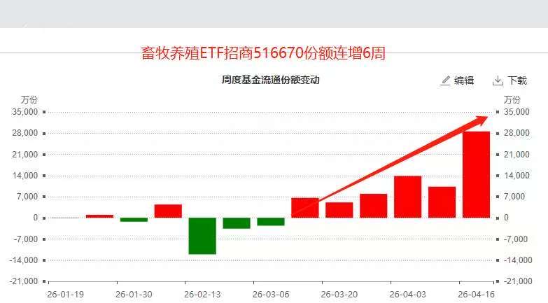 猪价跌到“肉疼”，资金买到“手软”！低费率畜牧养殖ETF招商(516670)获主力连买6周！