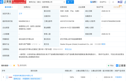 中国高科在湖北成立投资公司，含集成电路芯片业务