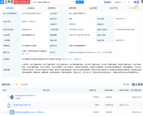 胜蓝股份等成立电子公司
