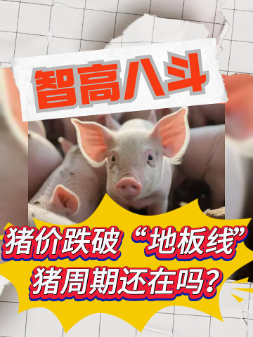 古东管家