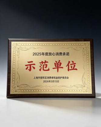 放心消费标杆！一嗨租车荣膺上海市普陀区2025年度放心消费承诺示范单位