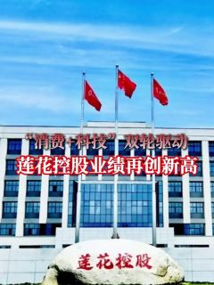 “消费+AI科技”双轮驱动，莲花控股业绩再创新高