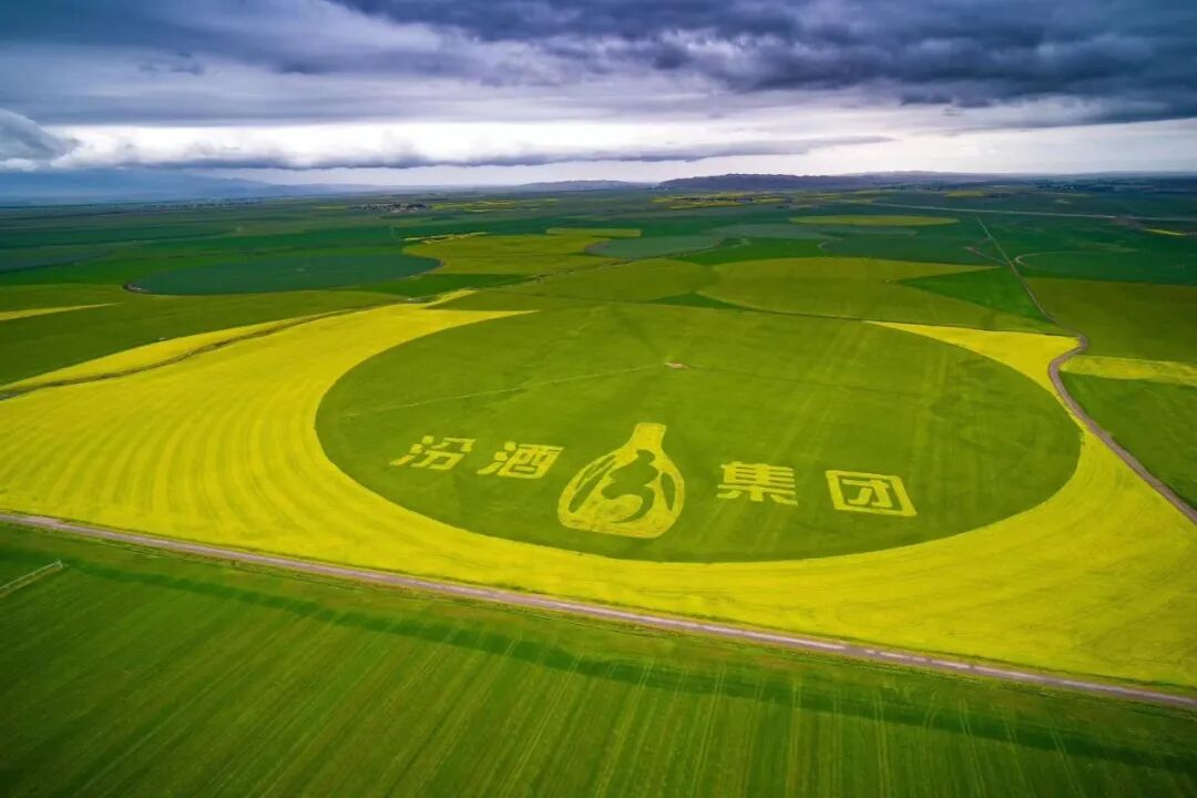 汾酒一季度报：产品力，才是穿越周期的硬通货