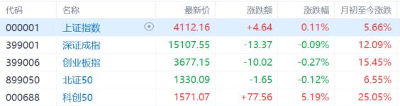 A股收评：科创50涨超5%！半导体板块大涨，寒武纪晋升A股股王