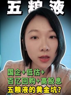 国企+低估+百亿回购+高股息，五粮液的黄金坑？