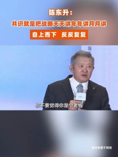 陈东升：共识就是把战略天天讲年年讲月月讲，自上而下，反反复复