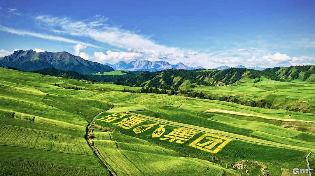 以自我革命破局，以经典焕新生长：山西汾酒(600809.SH)的转型突围