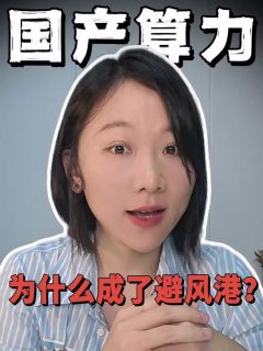 为什么国产算力成了避风港?