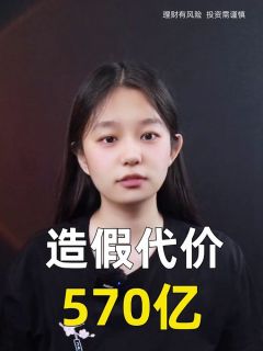 造假代价，570亿