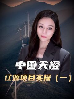 走进中国天楹辽源项目，巨型风力发电设备