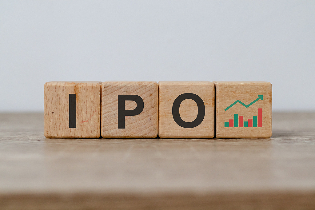 又投准了!宇树科技IPO“闪电”过会,背后浮现至少30家险资身影