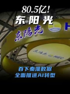 80.5亿!东阳光吞下秦淮数据,全面推进AI转型