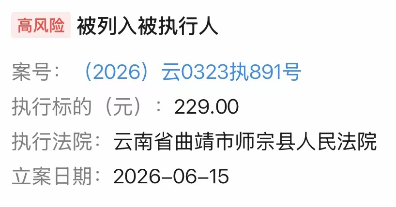 陕西长银消金因229元成被执行人