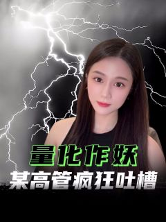 量化砸盘,某上市公司高管愤恨吐槽