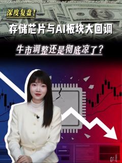深度复盘!存储芯片与AI板块大回调,牛市调整还是彻底凉了?