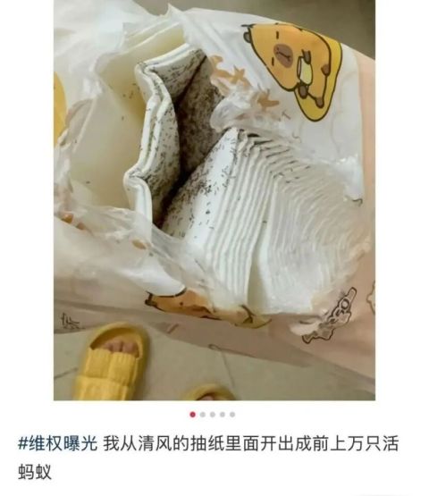 清风的抽纸里爬满活蚂蚁!我们扒了269批纸巾抽检数据,“缺斤短两”才是重灾区