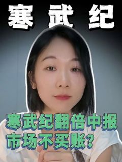 寒武纪翻倍中报，市场不买账？