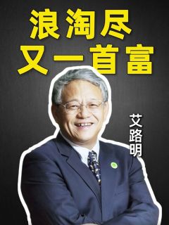 浪淘尽 又一首富