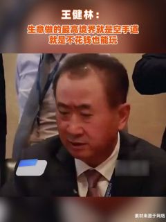 王健林:生意做的最高境界就是空手道,就是不花钱也能玩