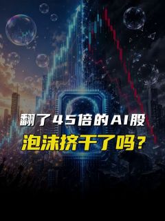 翻了45倍的AI股,泡沫挤干了吗?