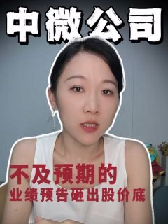 中微公司，不及预期的业绩预告砸出股价底