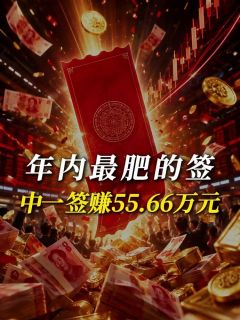 年内最肥的签，中一签赚55.66万元