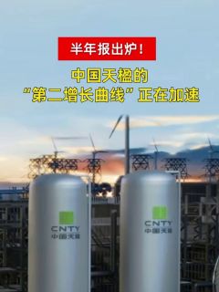半年报出炉!中国天楹的“第二增长曲线”正在加速