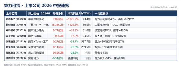 算力租赁，谁在中报的照妖镜前裸泳？