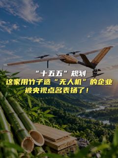 “十五五”规划，这家用竹子造“无人机”的企业，被央视点名表扬了！