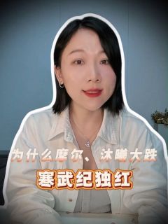 为什么摩尔、沐曦大跌,寒武纪独红?