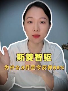 斯菱智驱8月至今反弹60%，为什么？
