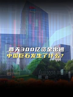 两天300亿资金出逃，中国巨石发生了什么？