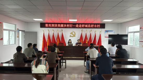 徽商期货美丽乡村行－走进舒城县舒丰村