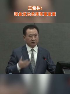 王健林:现金流比负债率更重要