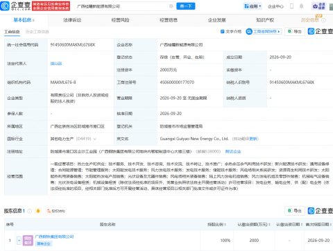 广西钢铁集团成立新能源公司,含风力发电相关业务