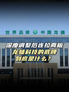 深度调整后连拉两板，龙蟠科技的底牌到底是什么？