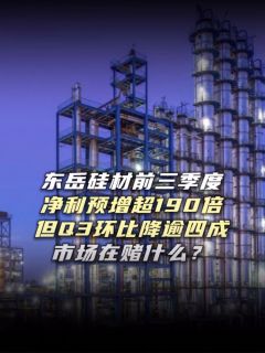 东岳硅材前三季度净利预增超190倍，但Q3环比降逾四成，市场在赌什么？