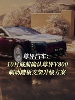 尊界汽车：10月底前确认尊界V800制动踏板支架升级方案