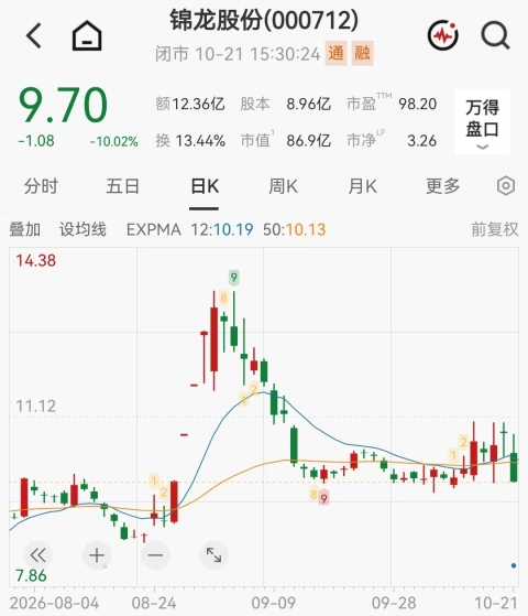 东莞前首富“跨界”遇挫,锦龙股份跌停!前三季度亏损4281万,转型算力搁浅后又瞄准光模块