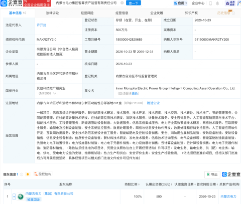 内蒙古电力成立智算资产运营公司,含AI业务