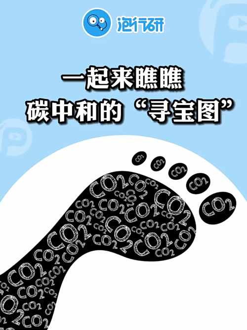 泡财经