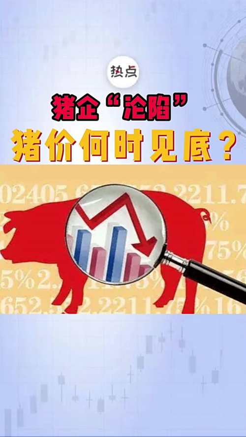 泡财经