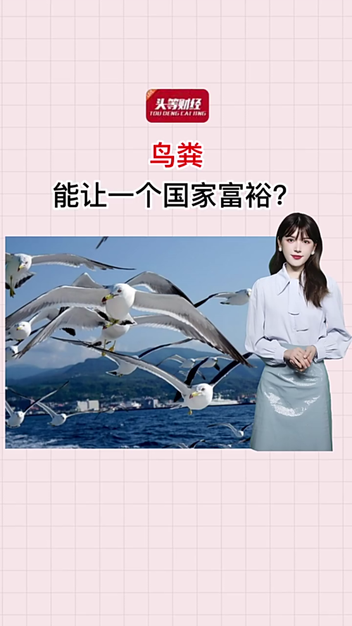 泡财经