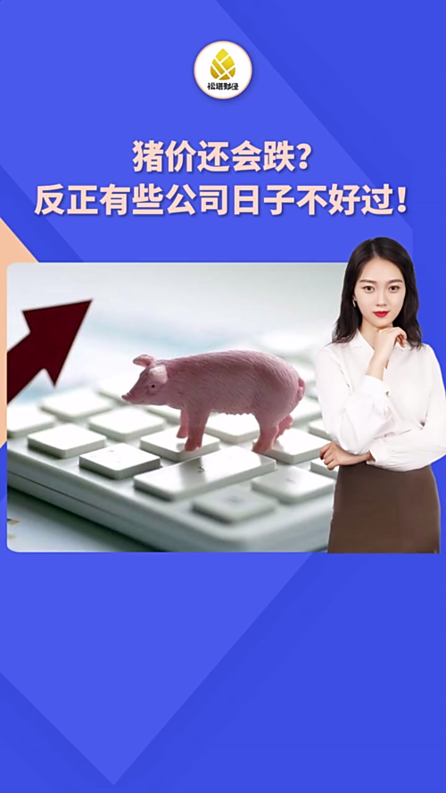 泡财经
