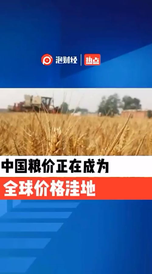 泡财经